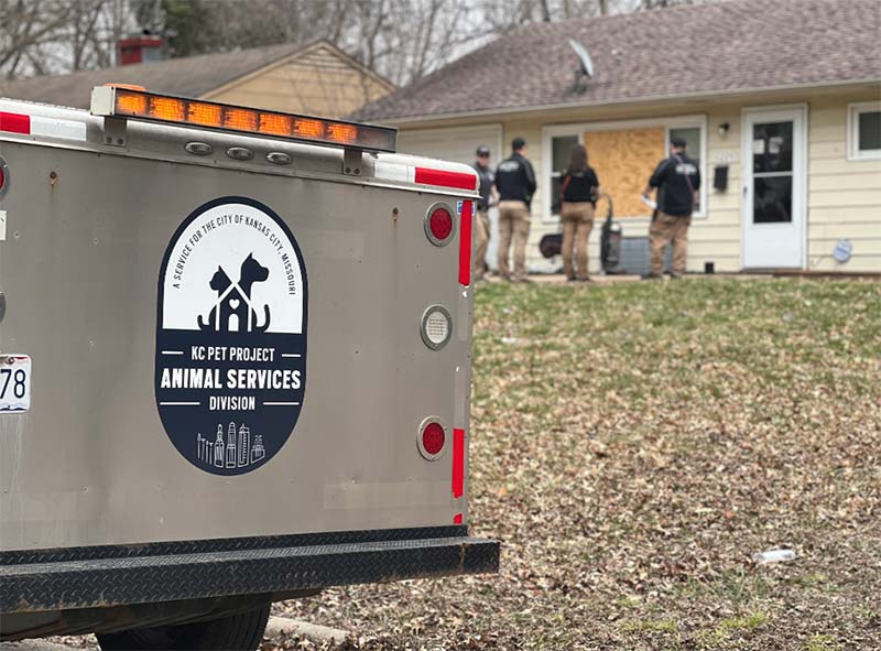 Animal Services Division